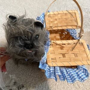 Dorothy (wizard of oz) costume accesories